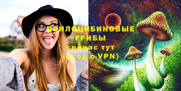 а пвп мука Касимов