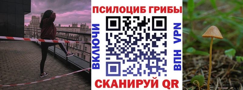 Купить Минеральные Воды Галлюциногенные грибы MAGIC MUSHROOMS